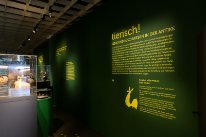 Eingangsbereich der Ausstellung «tierisch!» im Antikenmuseum.